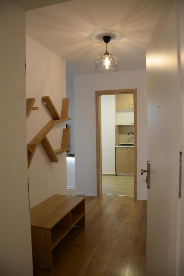 Luxury Panorama Apartament,Coresi Braszów Zewnętrze zdjęcie