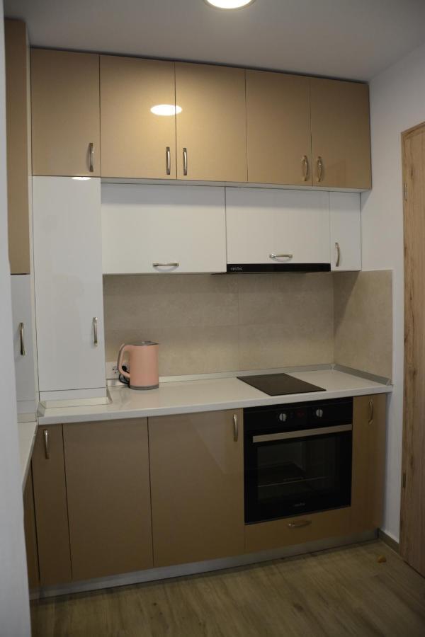 Luxury Panorama Apartament,Coresi Braszów Zewnętrze zdjęcie